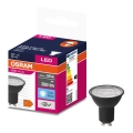 Bec LED VALUE PAR16 GU10/4,5W/230V 6500K 36° Osram