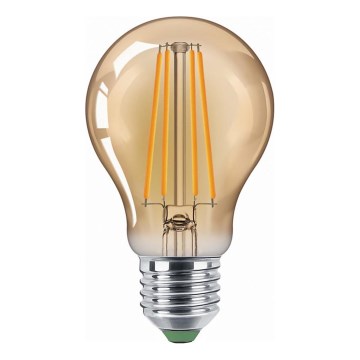 Bec LED VINTAGE A60 E27/10W/230V 2200K - Aigostar