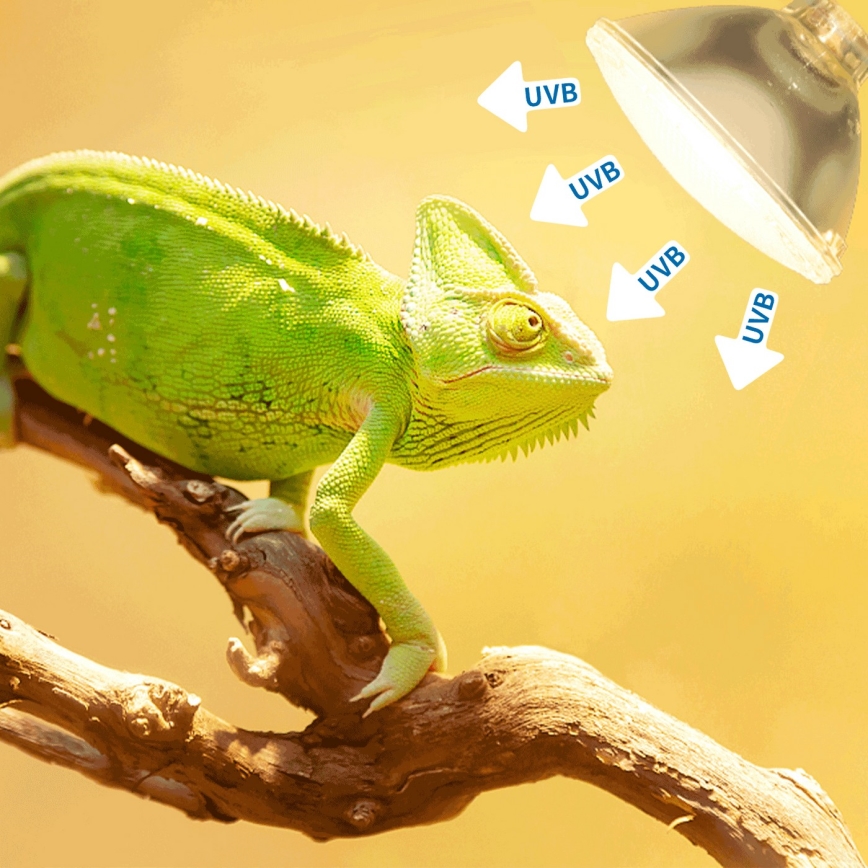 Bec UVB pentru terarii Nobleza E27/35W/230V IP54