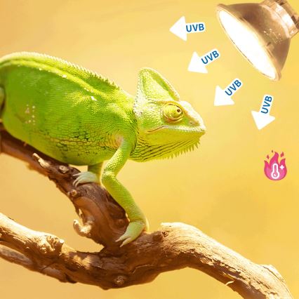 Bec UVB pentru terarii Nobleza E27/50W/230V