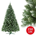 Brad de Crăciun 250 cm, pin