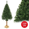 Brad de Crăciun pe trunchi, 220 cm, brad alb