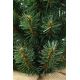 Brad de crăciun XMAS TREES 50 cm pin