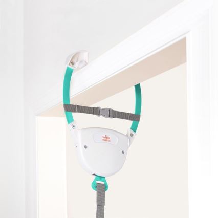 Bright Starts - Saltător pentru ușă Playful Parade