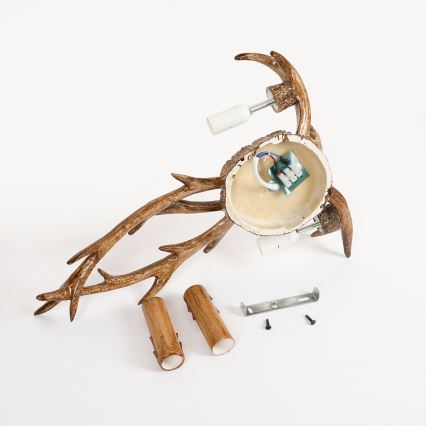 Brilagi - Aplica de perete DEER, 2xE14/10W/230V, cu coarne