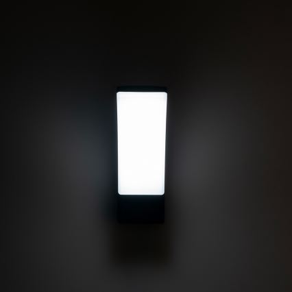 BRILAGI - Aplică de perete LED pentru exterior ARCELO LED/12W/230V IP65 neagră