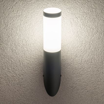 BRILAGI - Aplica de perete pentru exterior ELIA 1xE27/20W/230V IP44 antracit
