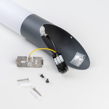 BRILAGI - Aplica de perete pentru exterior ELIA 1xE27/20W/230V IP44 antracit