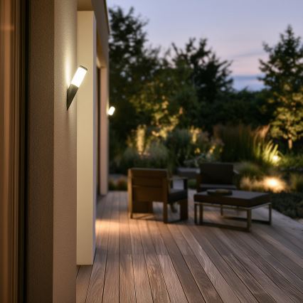 BRILAGI - Aplică LED de exterior ELIA 1xE27/7W/230V 4000K IP44 antracit