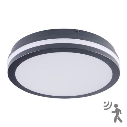 Brilagi - Corp de iluminat LED de exterior BENE cu senzor, LED 24W, 230V, Ø 26 cm, antracit, IP54