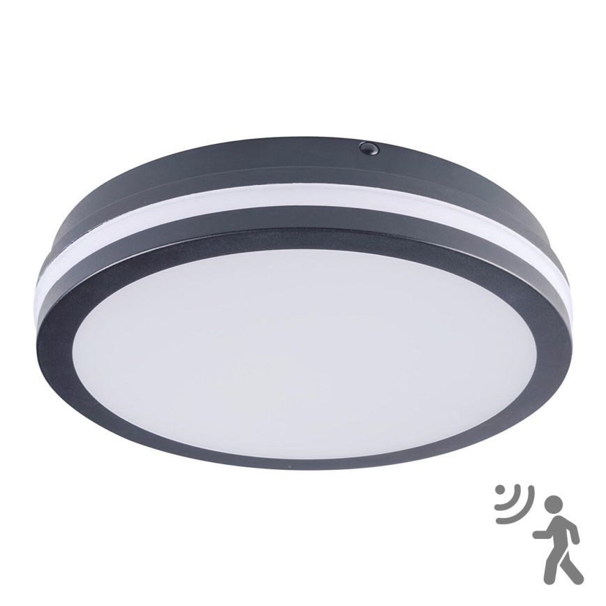 Brilagi - Corp de iluminat LED de exterior BENE cu senzor, LED 24W, 230V, Ø 26 cm, antracit, IP54