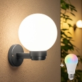 BRILAGI - Aplica LED RGBW dimmabilă de exterior HARBOR, 1x E27, 12W, 230V, 2700–6500K, IP33, antracit/alb