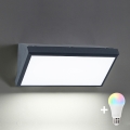Brilagi - Aplica LED RGBW reglabilă pentru exterior TRIANGLE 1xE27/9W/230V 2700-6500K IP65 antracit