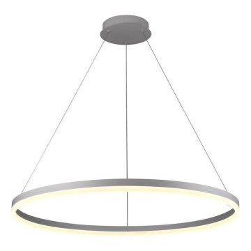 Brilagi - Candelabru LED dimabil suspendat pe cablu CIRCLE LED/55W/230V 3000-6500K diam. 80 cm argintiu + telecomandă