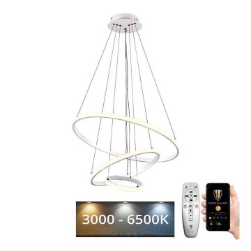 Brilagi - Candelabru LED dimerizabil CIRCLE, cu suspensie pe cablu, 90W/230V, 3000–6500K, diametru 60 cm + telecomandă