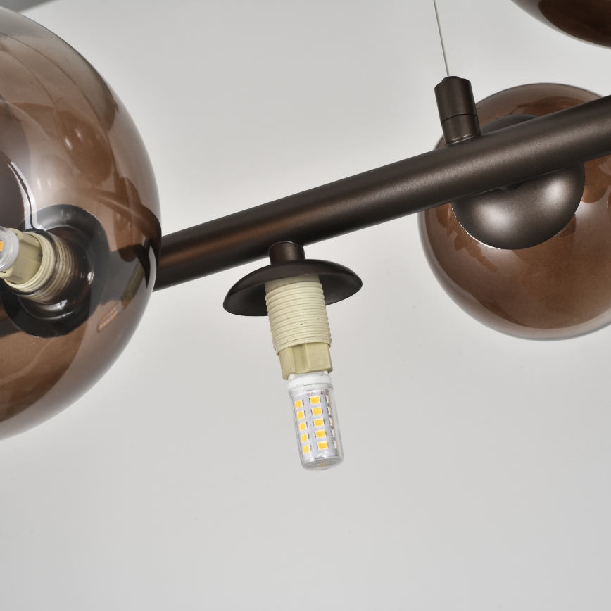 Brilagi - Candelabru LED suspendat pe cablu MILLA 10xG9/3W/230V maro/maro fumuriu