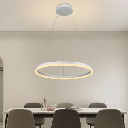 Brilagi CIRCLE – Lustră LED dimabilă pe cablu, 42 W, 230 V, 3000–6500 K, Ø 60 cm, cu telecomandă