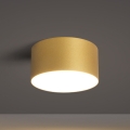 BRILAGI - corp de iluminat de tavan pentru exterior cu LED FORIS LED/14W/230V Ø 12 cm auriu IP44