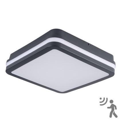 Brilagi - Lampă LED de exterior cu senzor BENE LED/18W/230V 22x22 cm antracit IP54