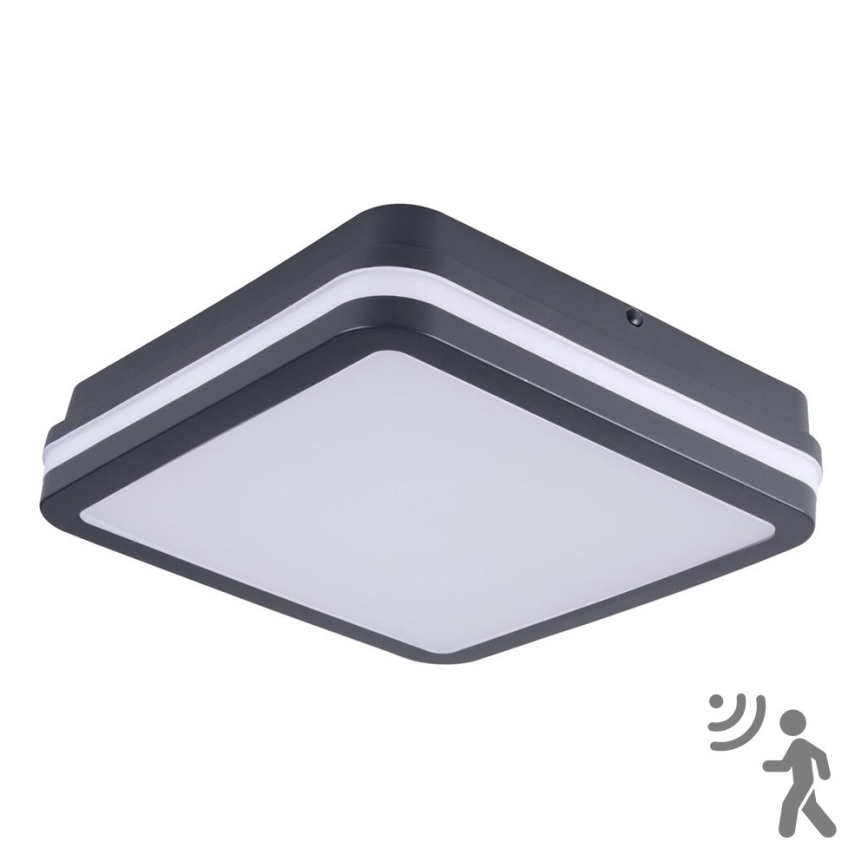 Brilagi - Lampă LED de exterior cu senzor BENE LED/18W/230V 22x22 cm antracit IP54