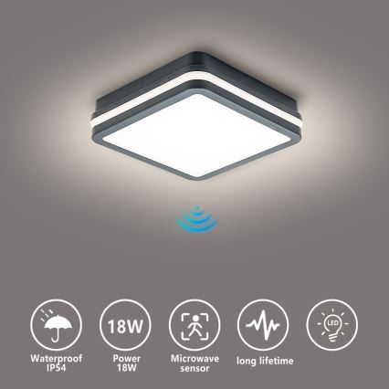 Brilagi - Lampă LED de exterior cu senzor BENE LED/18W/230V 22x22 cm antracit IP54
