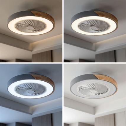 Brilagi - Plafonier LED reglabil cu ventilator LED/38W/230V 3000-6500K 3000-6500K Ø50 cm gri/stejar + telecomandă