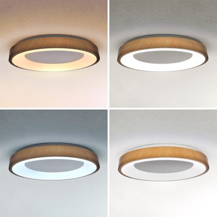 Brilagi - Plafonieră LED dimabilă DORIA LED/60W/230V 3000-6500K Ø 60 cm + telecomandă