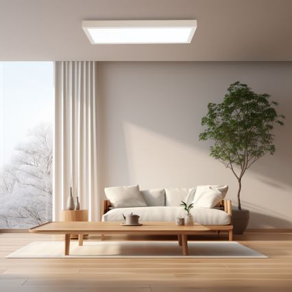 Brilagi - Lampă plafonieră LED reglabilă pentru baie FRAME SMART LED/30W/230V 30x60 cm 3000-6000K IP44 albă + telecomandă