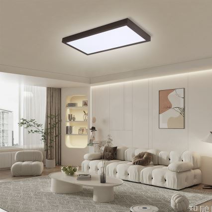 Brilagi - Plafonieră LED dimabilă pentru baie FRAME SMART LED/30W/230V 30x60 cm 3000-6000K IP44 negru + telecomandă