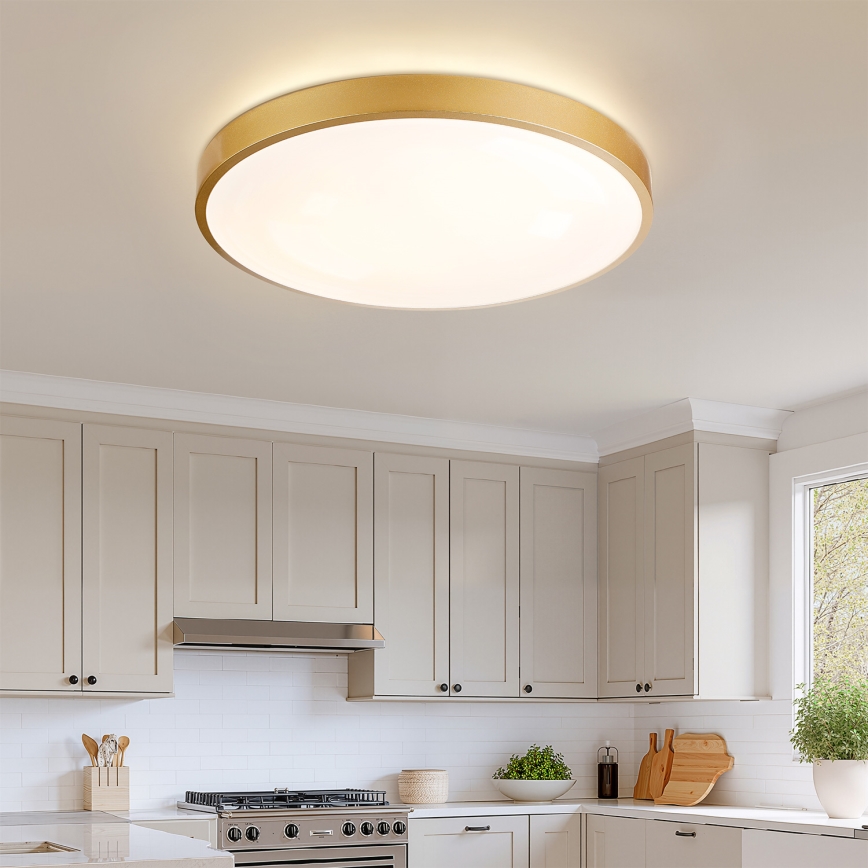 Brilagi - Plafonieră LED dimabilă GLASS POOL DOUBLE LED/80W/230V 3000-6000K 60 cm, finisaj auriu + telecomandă