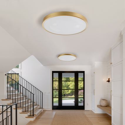 Brilagi - Plafonieră LED dimabilă GLASS POOL DOUBLE LED/80W/230V 3000-6000K 60 cm, finisaj auriu + telecomandă