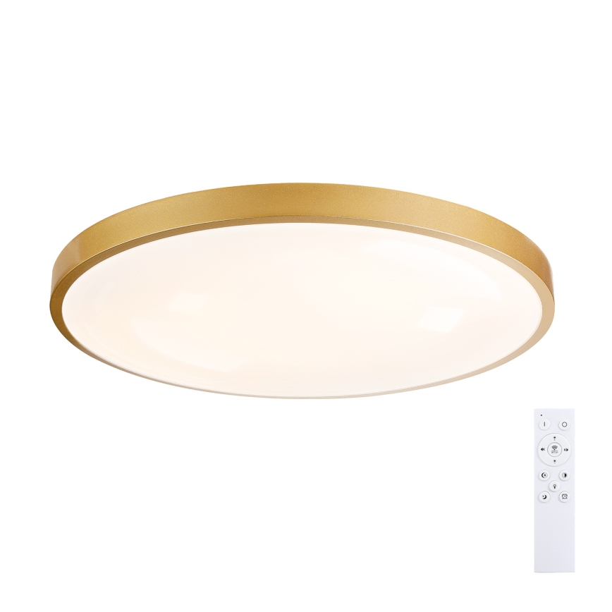 Brilagi - Plafonieră LED dimabilă GLASS POOL DOUBLE LED/80W/230V 3000-6000K 60 cm, finisaj auriu + telecomandă