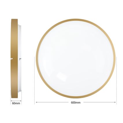 Brilagi - Plafonieră LED dimabilă GLASS POOL DOUBLE LED/80W/230V 3000-6000K 60 cm, finisaj auriu + telecomandă