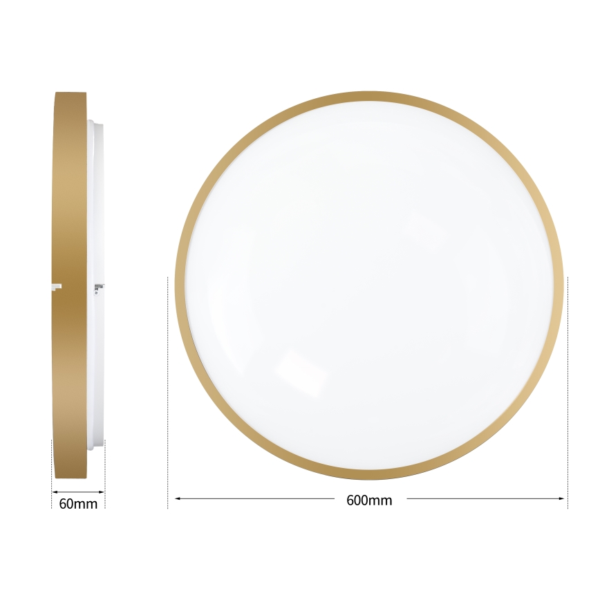 Brilagi - Plafonieră LED dimabilă GLASS POOL DOUBLE LED/80W/230V 3000-6000K 60 cm, finisaj auriu + telecomandă