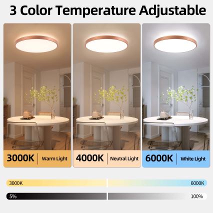 BRILAGI - Plafonieră LED reglabilă GLASS POOL DOUBLE LED/80W/230V Ø 60 cm cupru + telecomandă