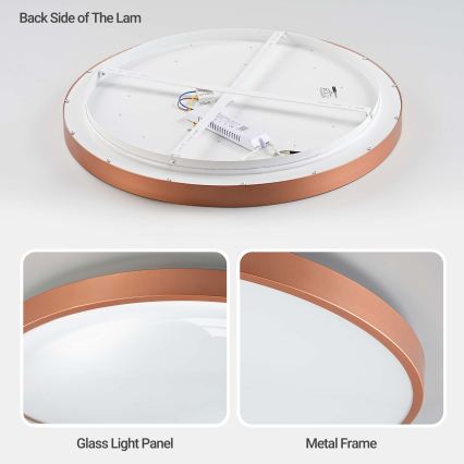BRILAGI - Plafonieră LED reglabilă GLASS POOL DOUBLE LED/80W/230V Ø 60 cm cupru + telecomandă