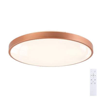 BRILAGI - Plafonieră LED reglabilă GLASS POOL DOUBLE LED/80W/230V Ø 60 cm cupru + telecomandă