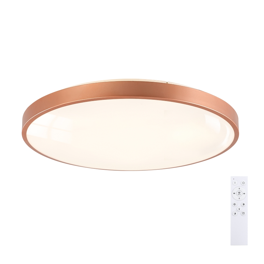 BRILAGI - Plafonieră LED reglabilă GLASS POOL DOUBLE LED/80W/230V Ø 60 cm cupru + telecomandă