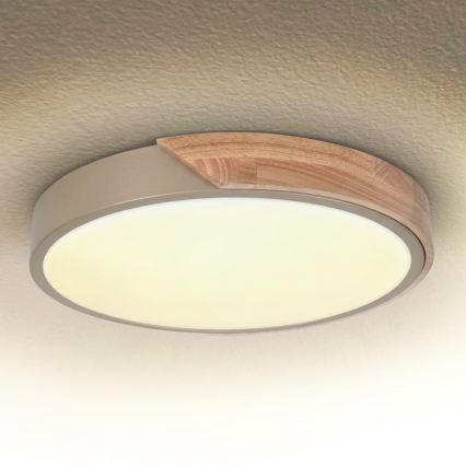 BRILAGI - Plafonieră LED reglabilă PILANA LED/48W/230V 3000-6500K stejar/bej diam. 40 cm + telecomandă