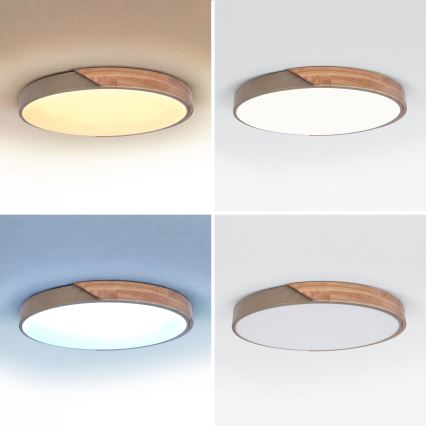 BRILAGI - Plafonieră LED cu intensitate reglabilă PILANA LED/60W/230V 3000-6500K stejar/bej, diam. 60 cm + telecomandă
