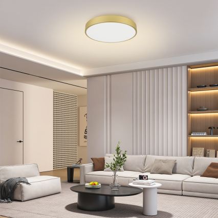 Brilagi - Plafonieră LED dimabilă POOL LED/60W/230V 3000-6000K, diametru 60 cm, aurie, cu telecomandă inclusă