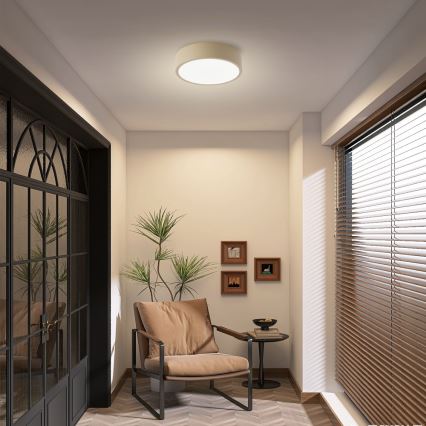 Brilagi - Plafonieră LED dimerizabilă POOL LED/18W/230V 3000-6000K 20 cm bej + telecomandă