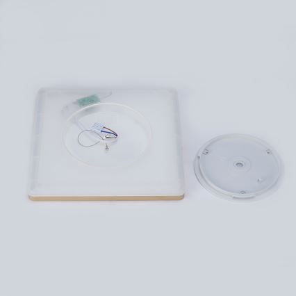 Brilagi - Plafonieră LED pentru baie ULTRA SLIM LED/18W/230V 30x30 cm aurie IP54