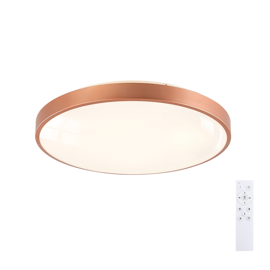 BRILAGI - Plafonieră LED dimabilă GLASS POOL DOUBLE LED/60W/230V Ø 50 cm, finisaj cupru + telecomandă inclusă