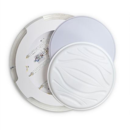 Brilagi - Plafonieră LED dimabilă ORELIS LED/80W/230V 3000-6000K Ø50 cm + telecomandă