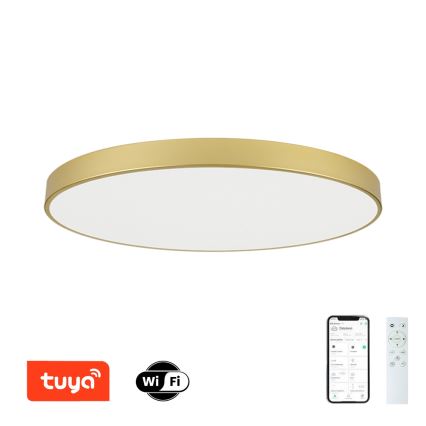 Brilagi – Plafonieră LED dimabilă POOL SMART, 180W, 230V, 3000–6000K, 120 cm, auriu, Wi‑Fi Tuya + telecomandă