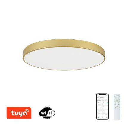 Brilagi - Plafonieră LED reglabilă POOL SMART LED/100W/230V 3000-6000K 80 cm aurie Wi-Fi Tuya + telecomandă