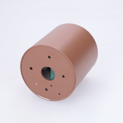 BRILAGI - Corp de iluminat spot pentru baie MIA 1xGU10/30W/230V 84x80 mm maro IP54