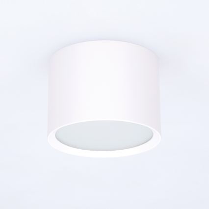 BRILAGI - Corp de iluminat spot pentru baie SMOOTH 1xGX53/15W/230V 60x82 mm alb IP54