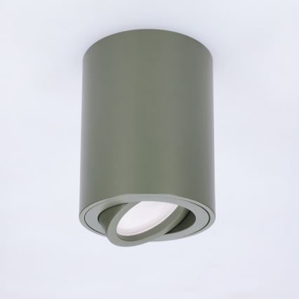 BRILAGI - Corp de iluminat tip spot MIA 1xGU10/30W/230V 100x80 mm verde închis